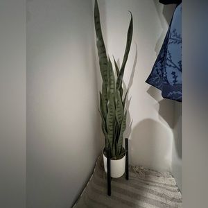 fake snake plant from Amazon